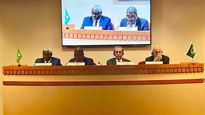  أبوالغيط يعرب عن تطلعه لعقد القمة العربية- الإفريقية الخامسة