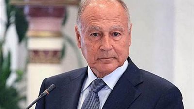 الأمين العام للجامعة العربية يؤكد أهمية تناغم وتضافر العمل العربي