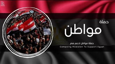 الجالية المصرية بالنمسا تدشن حملة مواطن لدعم مصر 