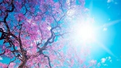 عاجل.. الأرصاد الجوية تكشف أحوال الطقس ثاني أيام فصل الخريف