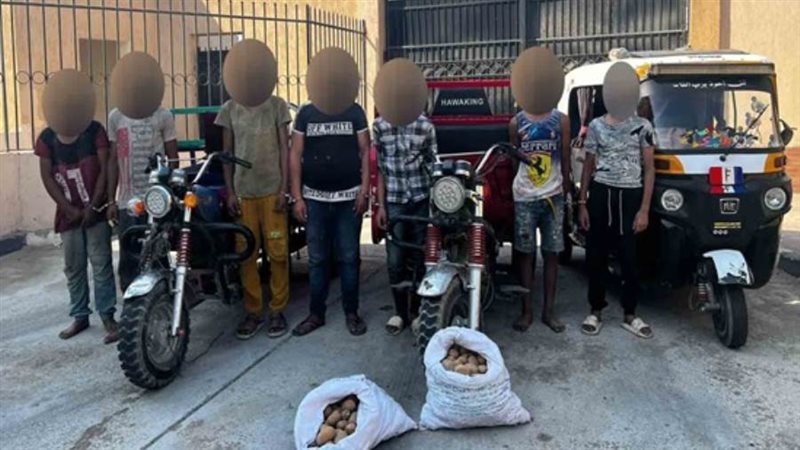 بوابة روز اليوسف