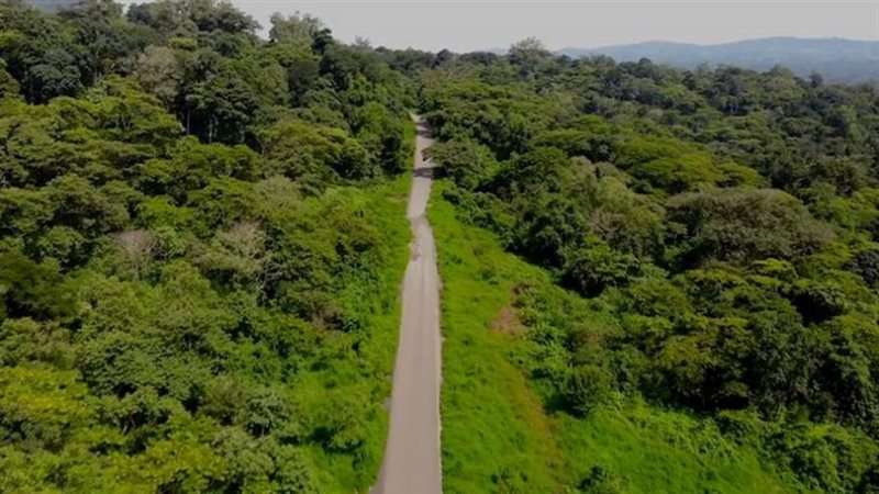 الغابات في إثيوبيا