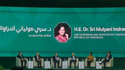 وزير المالية: نتطلع لدور أكبر للبنوك والمؤسسات الدولية في تحفيز القطاع الخاص للاستثمار بقوة في التنمية المستدامة