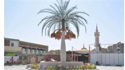 بالصور.. الوادي الجديد تستعد لملتقي التمور في أكتوبر المقبل 