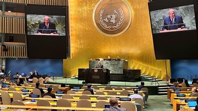 الجندي: كلمة مصر أمام الجمعية الأمم المتحدة متسقة مع رؤية مواجهة التحديات الراهنة
