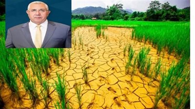 عاجل| كيف تواجه مصر تغيُّر المناخ؟..وزير الزراعة 