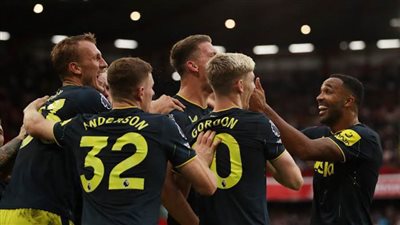 نيوكاسل يكتسح شيفيلد يونايتد 0/8 في البريميرليج