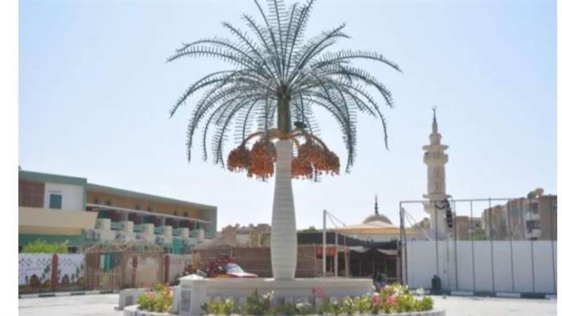 الوادي الجديد تستعد