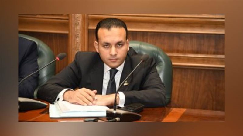 النائب عمرو فهمي