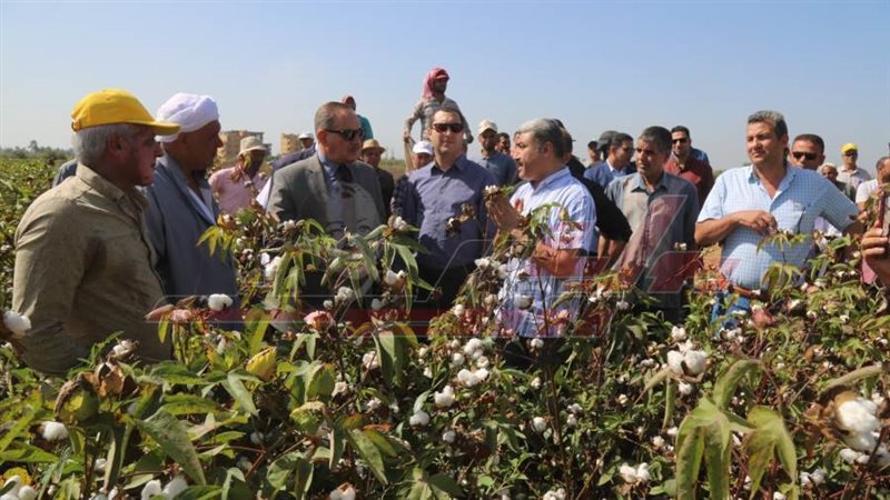 محافظ كفرالشيخ