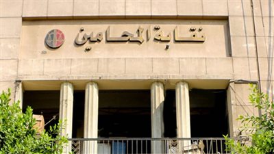 تأجيل دعوى بطلان قرار نقيب المحامين بتعيين عضو مجلس بدون انتخاب ل 10 ديسمبر