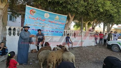 تقديم الخدمات البيطرية لـ 1095 رأس ماشية ودواجن بكفر الشيخ