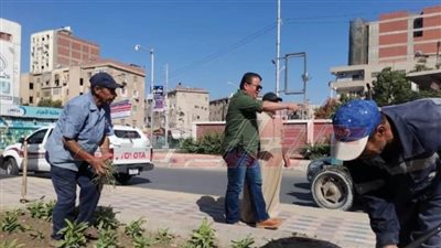 زراعة الأشجار بالميادين وإزالة التعديات على الأراضي الزراعية