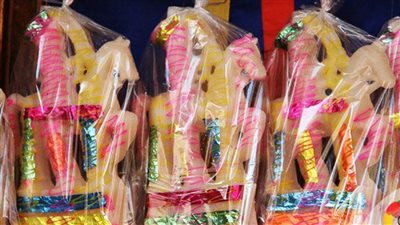 عاجل| العروسة والحصان