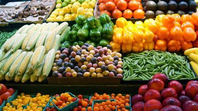 مستشار وزير الزراعة: الدولة تبذل جهودا كبيرة من أجل توفير السلع الاستراتيجية