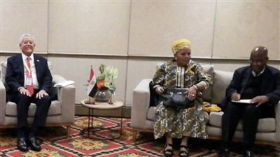 المستشار الدكتور حنفي جبالي يلتقي رئيسي غرفتي برلمان جنوب أفريقيا