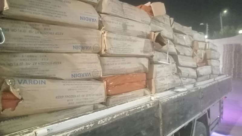 ضبط 21 طن أسماك منتهى