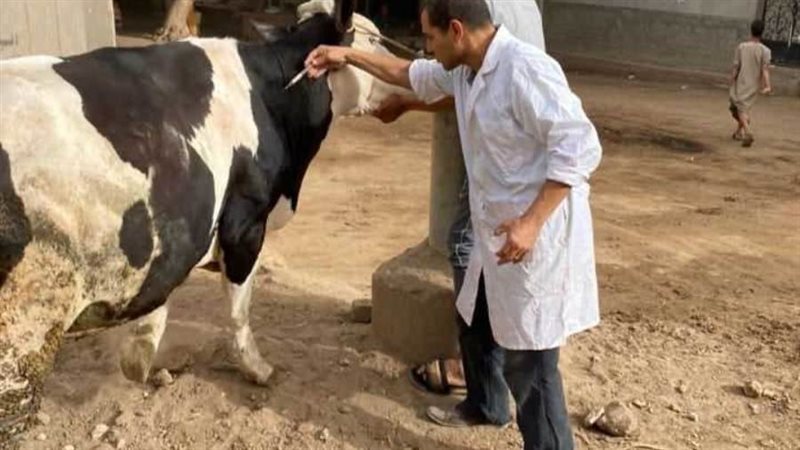 تحصين الماشية