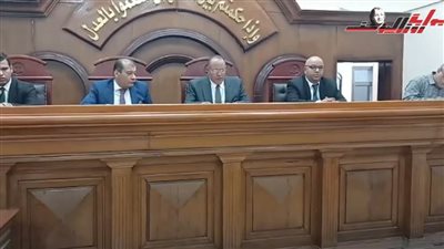 عاجل.. النطق بالحكم على قاتلة ابنها وتقطيع جثته وطهي جزء منه وأكله بالشرقية