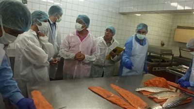 هيئة سلامة الغذاء تصدر تقريرها الأسبوعي الـ34