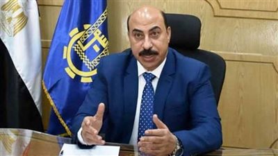 محافظ أسوان يشارك في المؤتمر الإقليمي الثاني للمبادرة الوطنية للمشروعات الخضراء الذكية