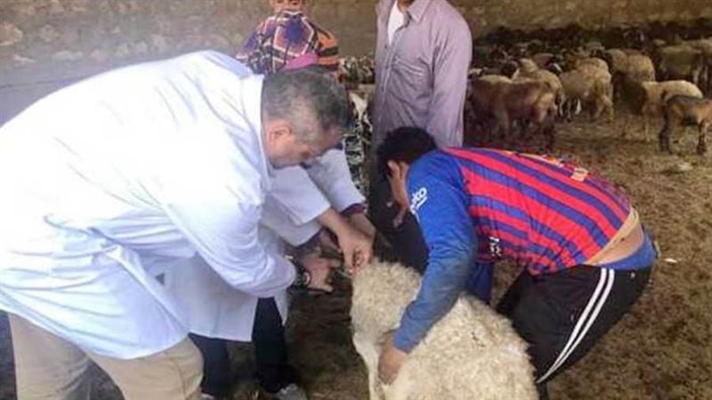 حملة تحصين ضد مرض