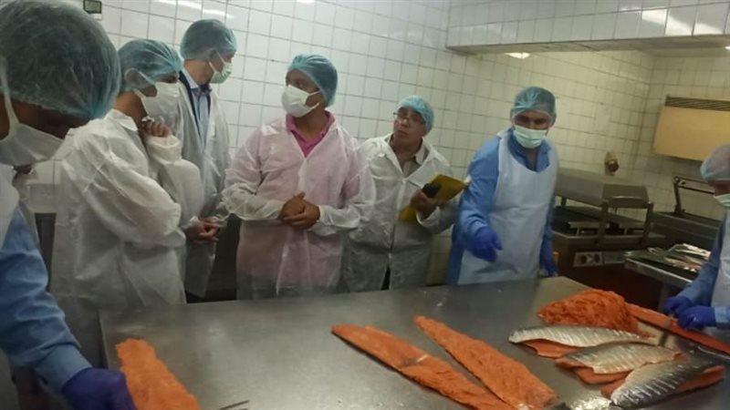 حملة تفتيشية على