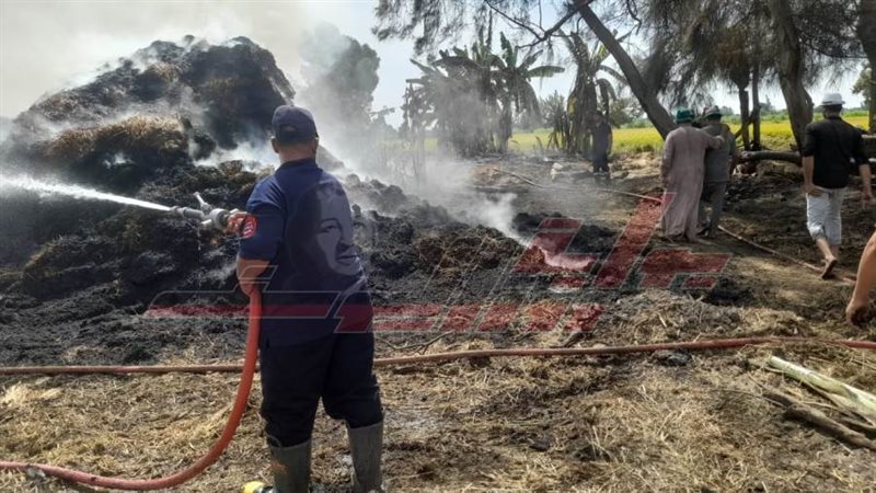 حرق قش الأرز