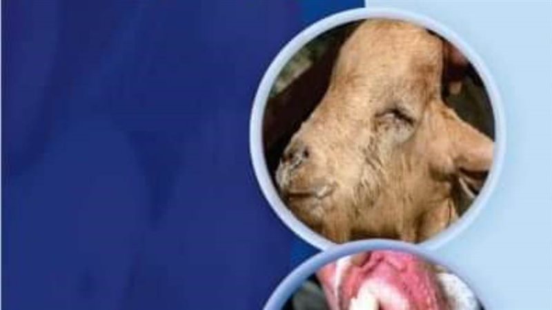 إنطلاق فعاليات الحملة