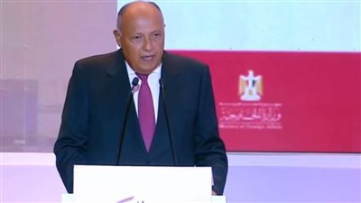 شكري: السياسية الخارجية تهدف لخدمة المواطن المصري وتحقيق ازدهاره