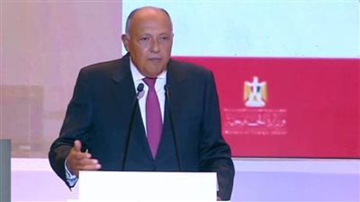 وزير الخارجية: مصر تدافع عن مصالح الأشقاء في الدول النامية