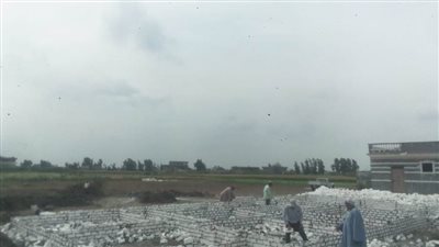 إزالة 11 حالة تعدٍ على الأراضي الزراعية وأملاك الدولة بالبحيرة