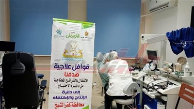 إجراء الكشف الطبي على 983 مريضًا بقوافل طبية بكفر الشيخ