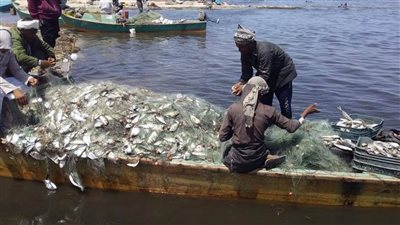  عاجل.. صورة للأقمار الصناعية ترصد بحيرات الفيروز للصيد البحري