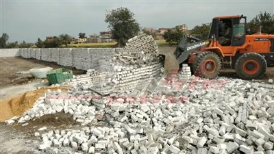 إزالة 10 حالات تعد على الأراضي الزراعية بكفر الشيخ