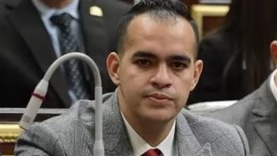 النائب محمود توشكى: قرار البرلمان الأوروبي كاذب وتدخل سافر في شئون مصر الداخلية