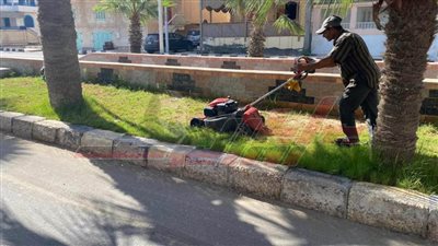 حملات نظافة وإزالة إشغالات وتعديات على الأراضي الزراعية بكفر الشيخ