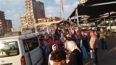 توفير سيارات وأتوبيسات لنقل طلاب الجامعة بكفر الشيخ