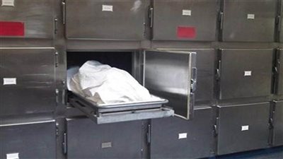 مصرع مريض نفسي ألقى نفسه من أعلى برج كهرباء بطوخ