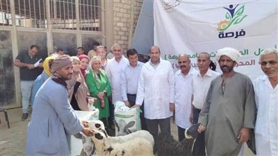 محافظ المنيا: برنامج 