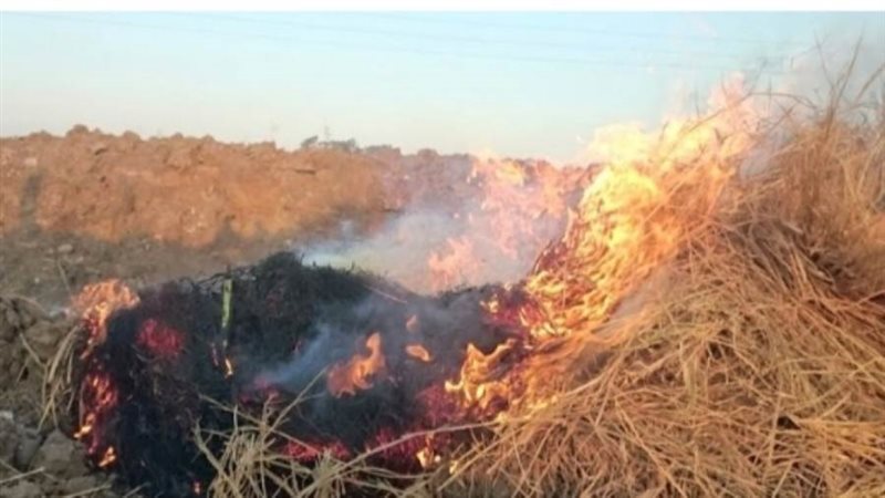 وعقوبات رادعة للمزارعين