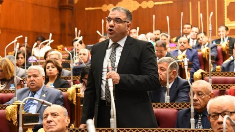 النائب سيد حجازى