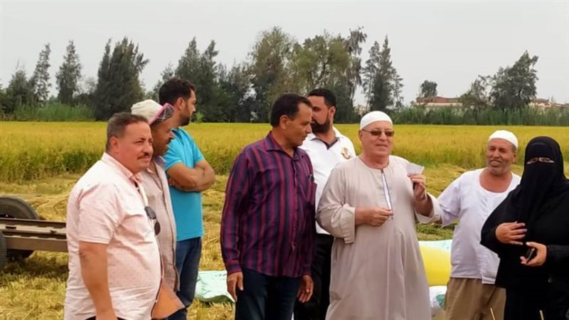 تشكيل لجان مرورية