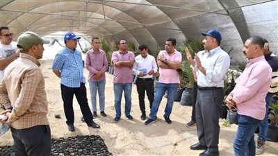 رئيس جامعة الوادي الجديد في جولة تفقدية للمشروعات بالمقر الجديد للجامعة