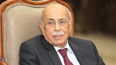 مفيد شهاب: الشباب يمثلون الأمل والمستقبل ويكافحون من أجل البناء والتنمية