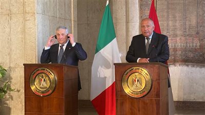 سامح شكري يؤكد أهمية تخفيف التصعيد