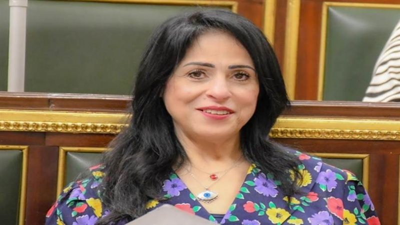 النائبة ميرال جلال