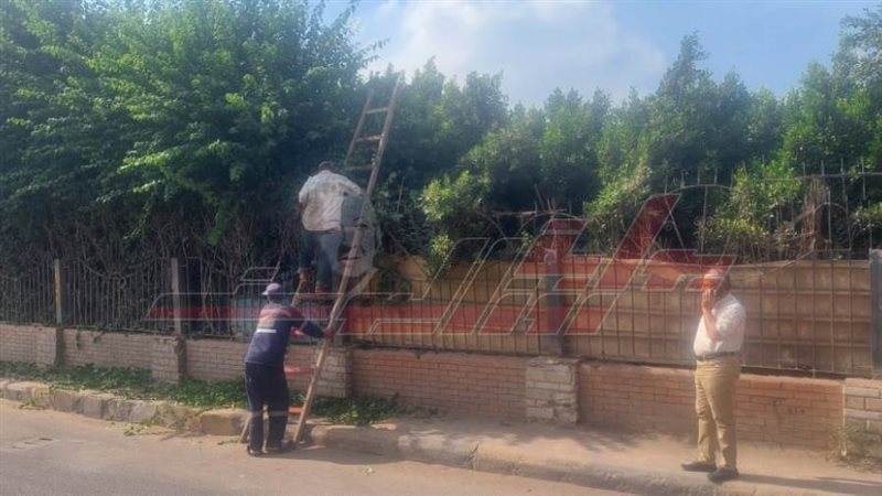 حملات النظافة