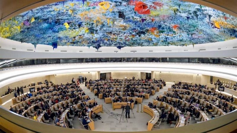 مجلس حقوق الإنسان