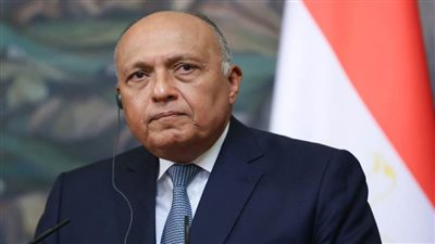 عاجل.. شكري: حقوق الإنسان الفلسطيني ليست أقل من حقوق أي إنسان آخر 